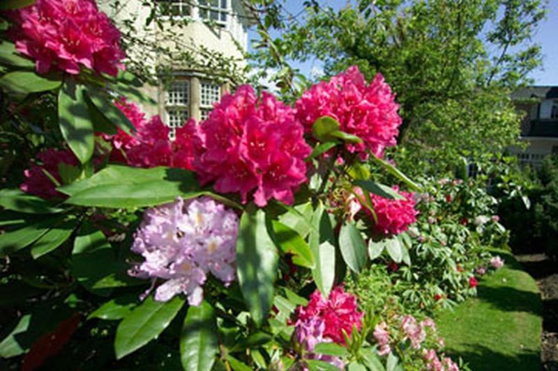 Dalmeny Park House Hotel Barrhead 외부 사진